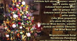 zdjęcie nr 9
